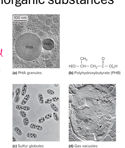 <p>What are inclusions? Provide two examples</p>