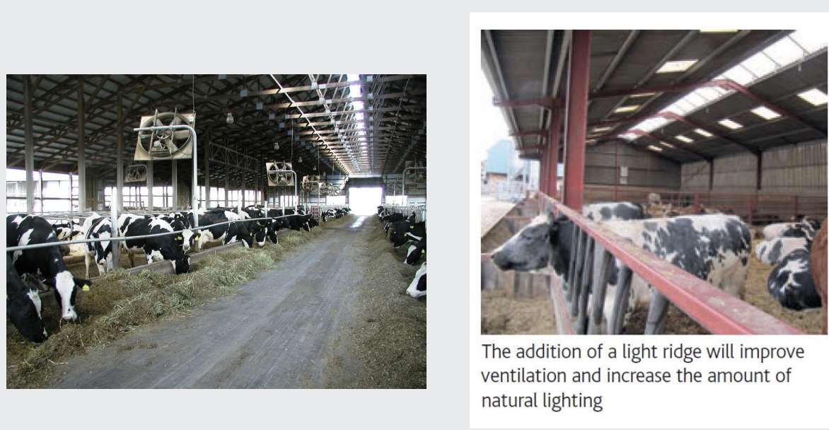 <p>found in feeding fences</p>