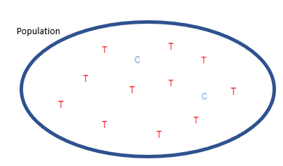 <p><span><span>Simplest form of genetic variation is single nucleotide polymorphisms, which are single nucleotide base differences in a population. </span></span></p><p><span><span>We often refer to these differences as alleles. </span></span></p><p><span><span>Example: In this population, almost all individuals have the T allele, with a couple individuals that have the C allele. The T and C alleles represent two single nucleotides at a particular locus (or site) in the genome.</span></span></p>