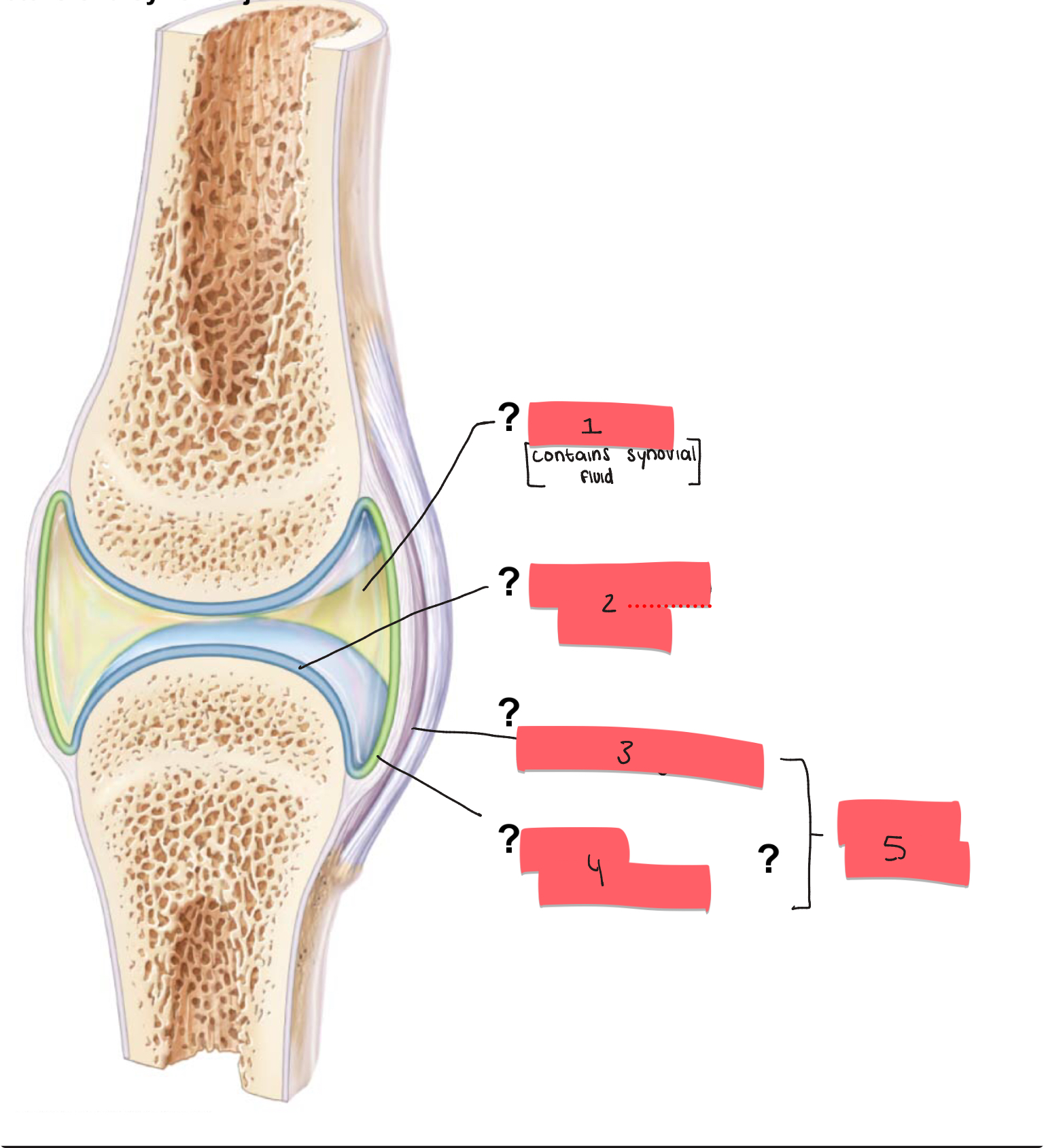 <p>1?</p>