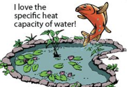 <p>the amount of heat required to raise the temperature of 1 gram of a substance by 1 ℃</p>