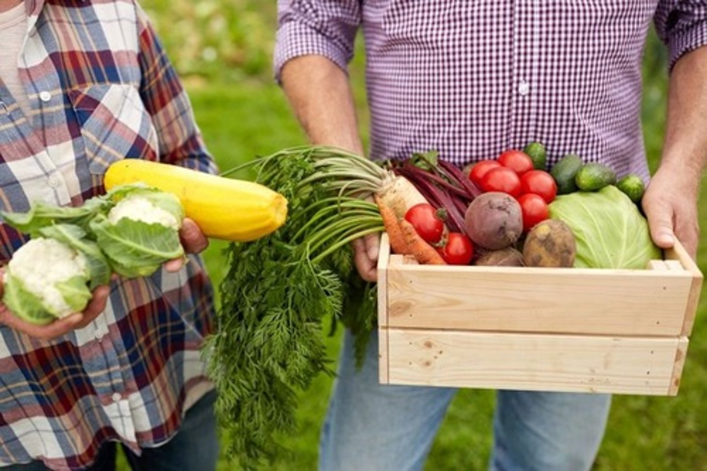 <p>subscription to receive produce each month from local farms</p>