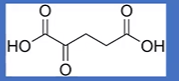 <p>structure</p>