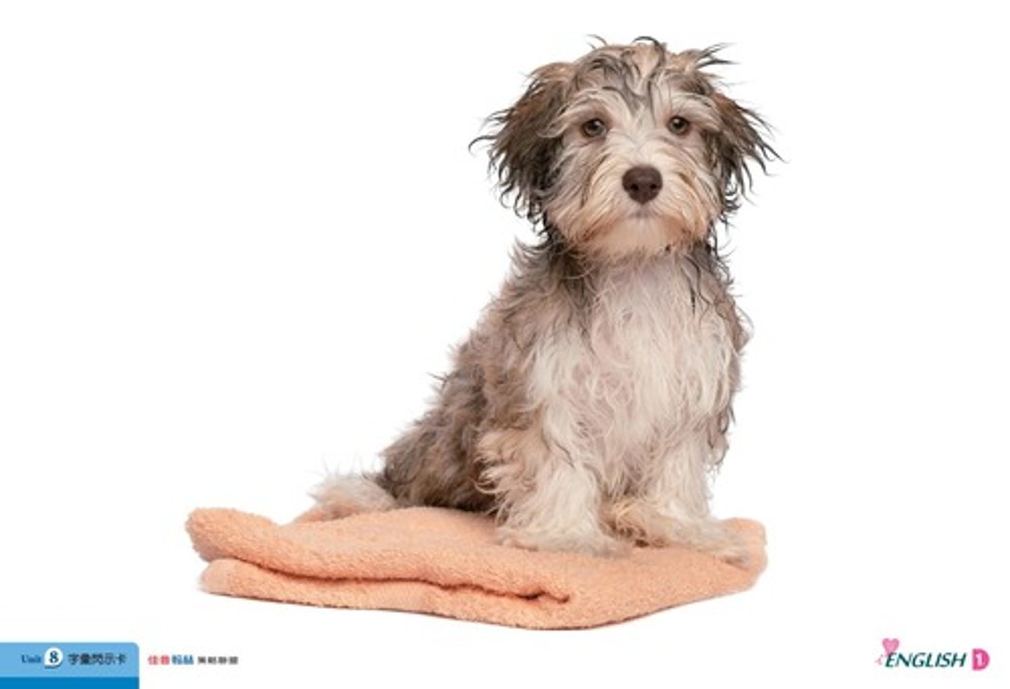 <p>/wet/ - ẩm ướt → wet clothes / wet day → My clothes are wet. (Quần áo tôi bị ướt.)</p>