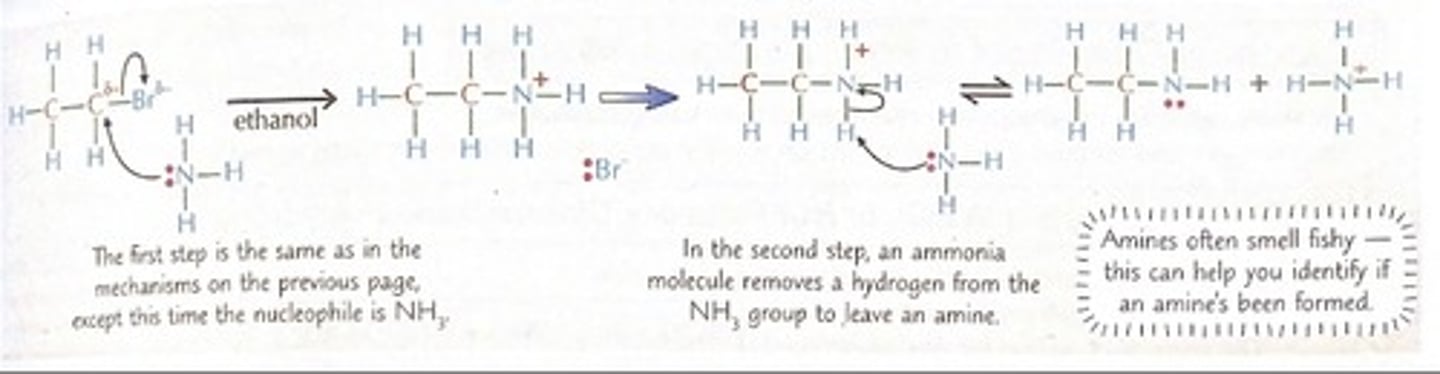 <p>with excess concentration ethanolic ammonia under heating reflex</p><p>neutralised by acid to make ammonium salt</p><p>Ammonia ​in excess​ in order to form only the primary amine, or the mixture of products can be ​separated using fractional distillation​.</p>