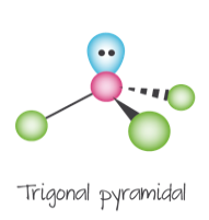 <p>molecular geometry: trigonal pyramid</p><p>domain geometry: tetrahedral</p><p>bonding angles: 107°</p>