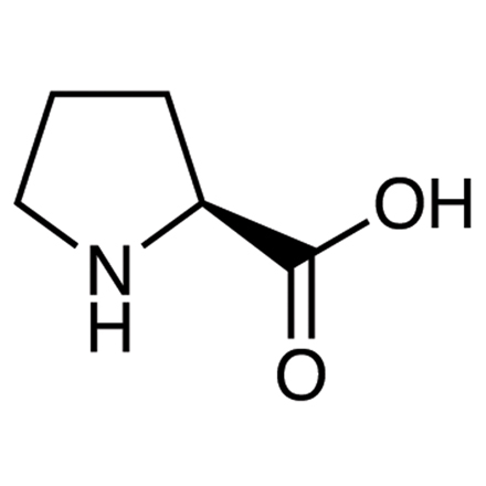 <p></p>