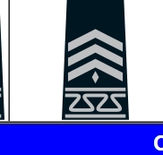 <p>Identify the Cadet Rank and Class Year</p>