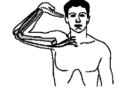 <p>ulnar N</p><p>C8-T1</p>