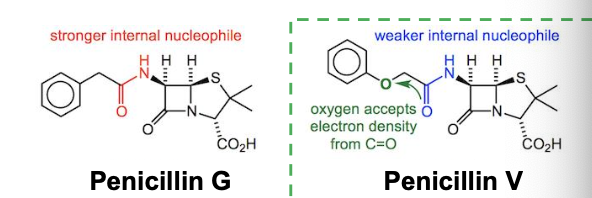 <p>Differences in ring between Penicillins and Cephalosporins?</p>
