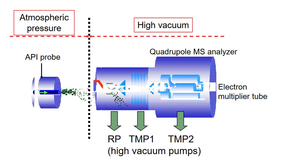 <p>base peak = most intense peal&nbsp;</p><p>ms parent ion = mwt of compound&nbsp;</p><p></p>