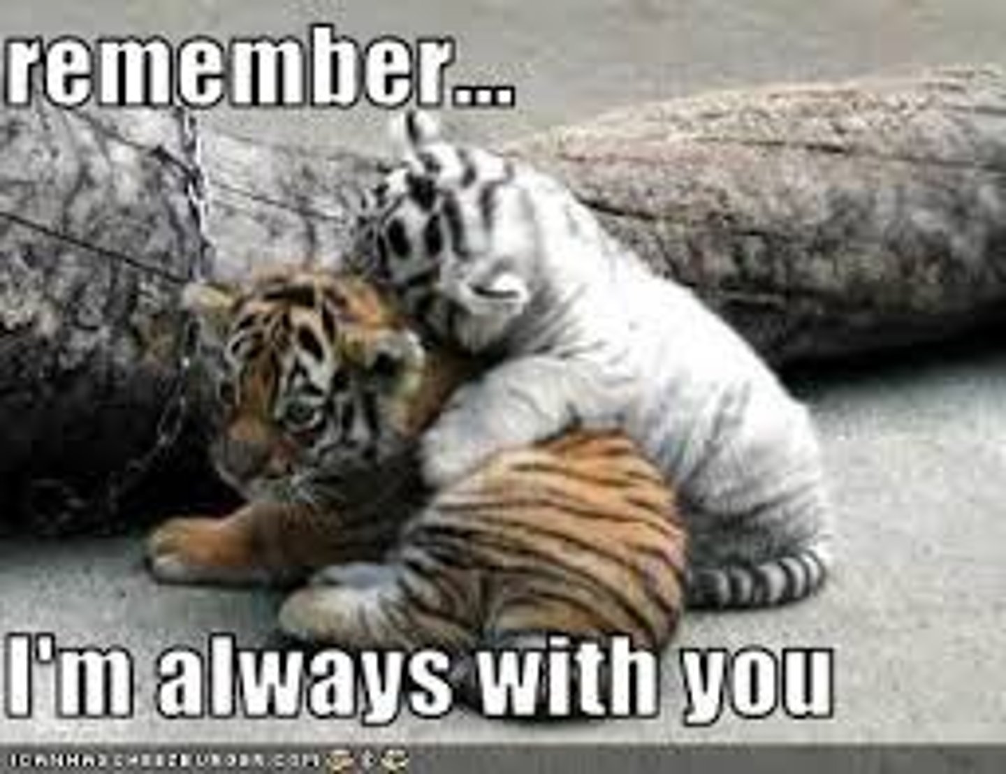 <p>with you</p>