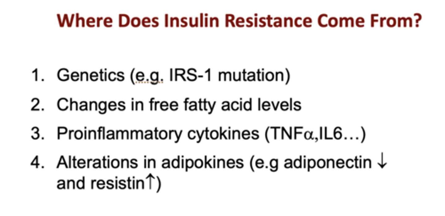 <p>1. Genetics (e.g. IRS-1 mutation)</p><p>2. Changes in free fatty acid levels</p><p>3. Proinflammatory cytokines (TNFa, IL6...)</p><p>4. Alterations in adipokines (e.g adiponectin decreases and resistin increases)</p>