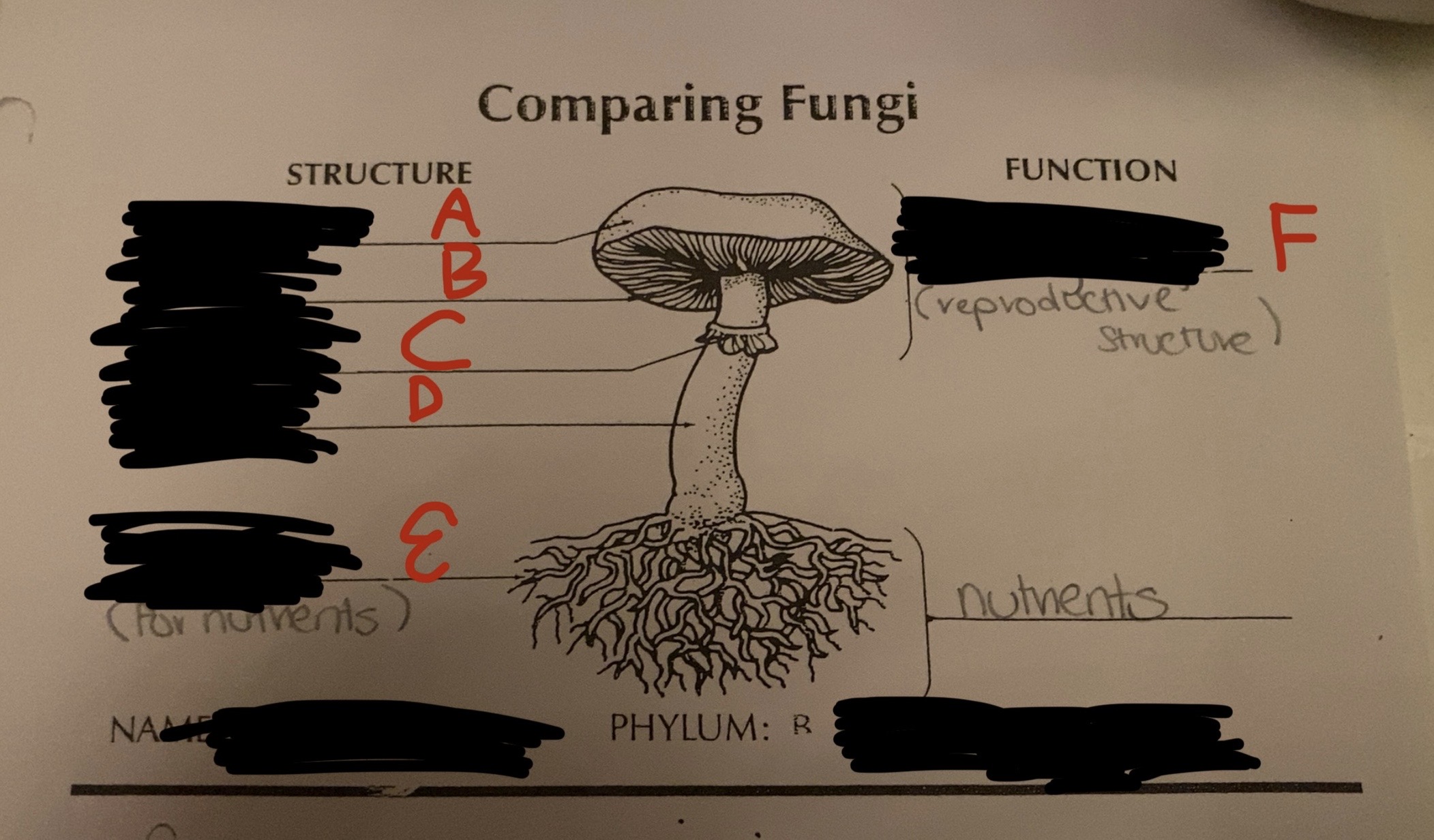 <p>Label the letters with the correct term</p>