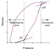 <ul><li><p><span>The upper inflection point (UIP) reflects the point at which pulmonary compliance significantly decreases because of alveolar overdistension and risk of alveolar injury (volutrauma) is increased</span></p><ul><li><p><span>It is generally advised to keep PIP below the pressure at which the UIP is noted</span></p></li></ul></li></ul><p></p>