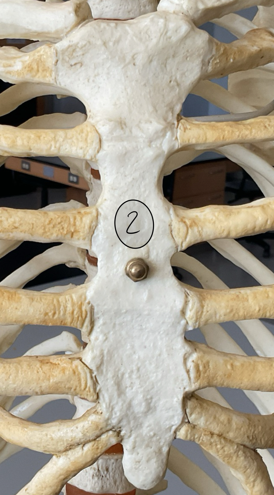 <p>2</p>