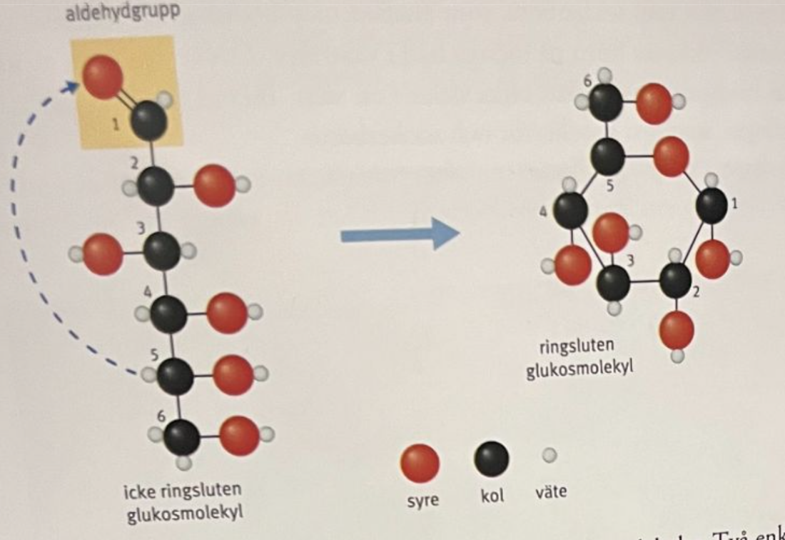 <p>ofta en empirisk formel på CH<sub>2</sub>O</p>