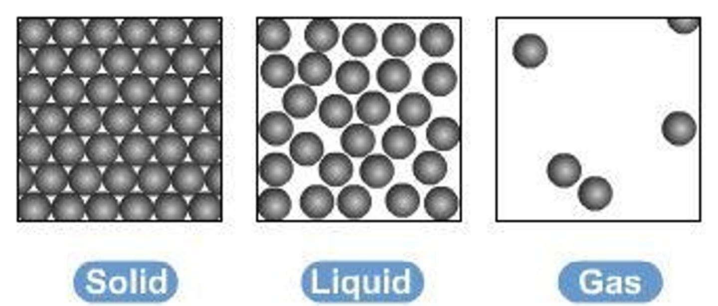 <p>Solid, liquid, and gas.</p>