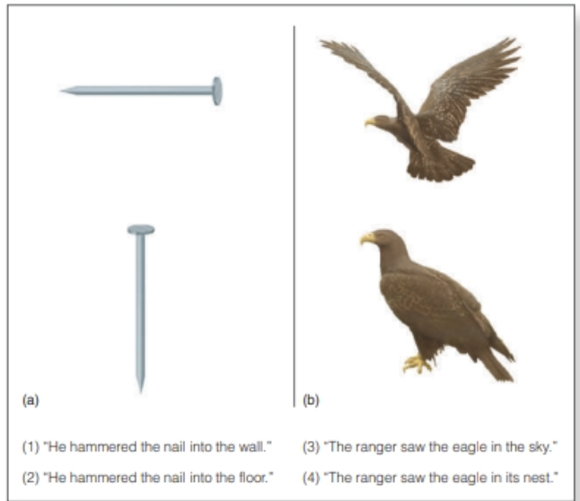 (what were the results?) Subjects heard sentences and were then asked to indicate whether the picture was the object mentioned in the sentence