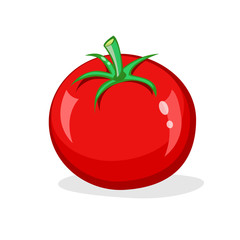 <p>Tomato</p>