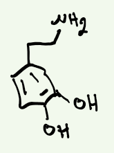 <p>Hvilket stoff er dette? hvorfor kan det ikke være et LM?</p>