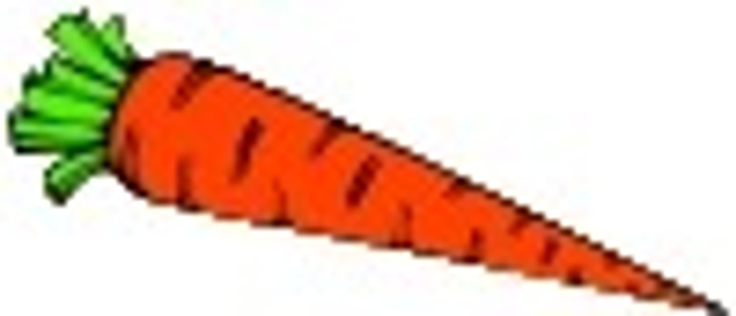 <p>carrot</p>