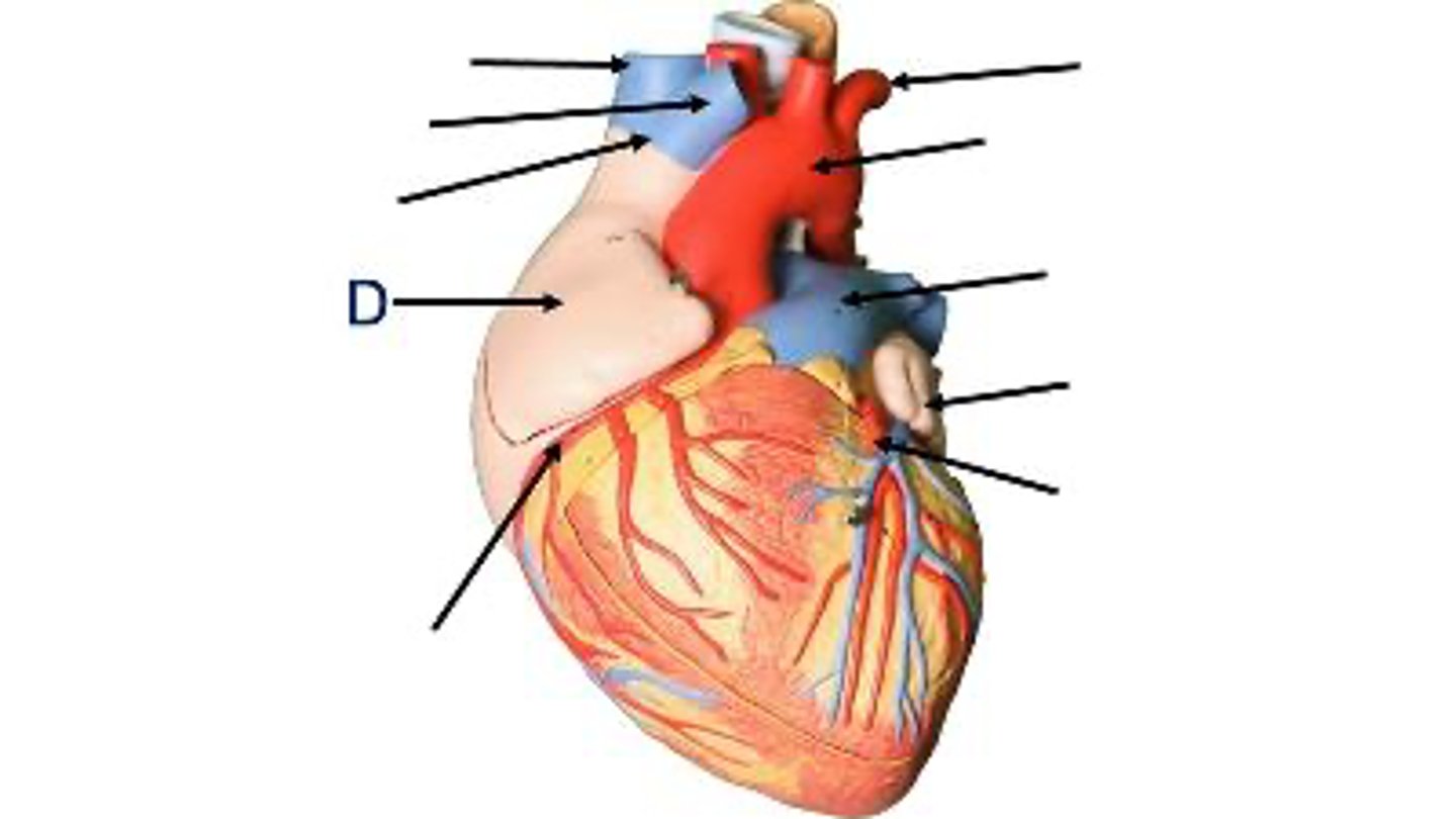 <p>What is this?</p>