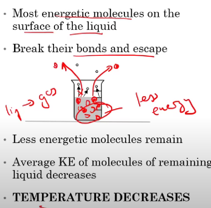 <p>The escape of higher energy particles from the surface of a L to form a G, results in a decrease in T</p>