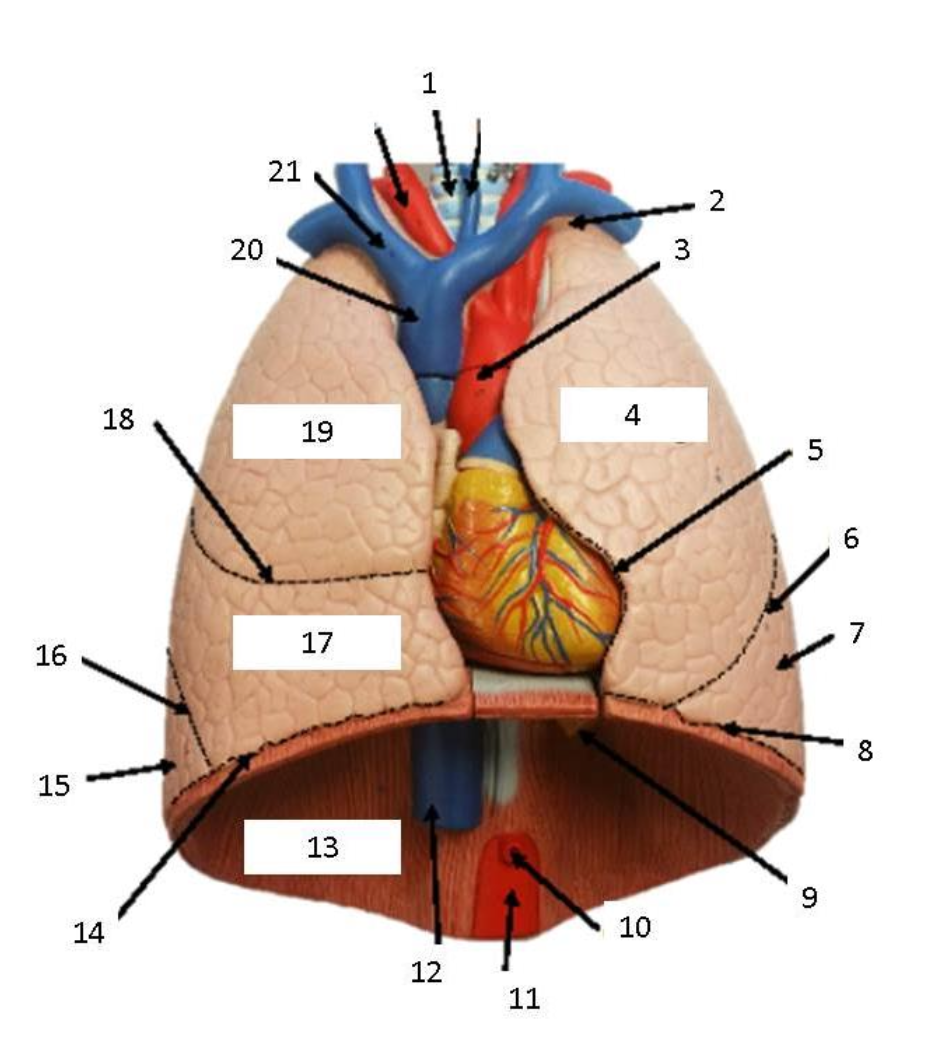 <p>what is number 4?</p>