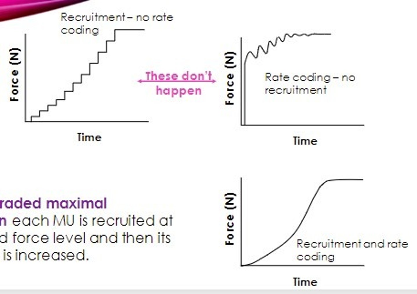 <p>recruitment and rate coding doesn't happen without the other</p>