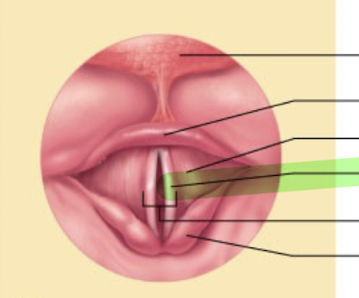 <p>What is this structure?</p>