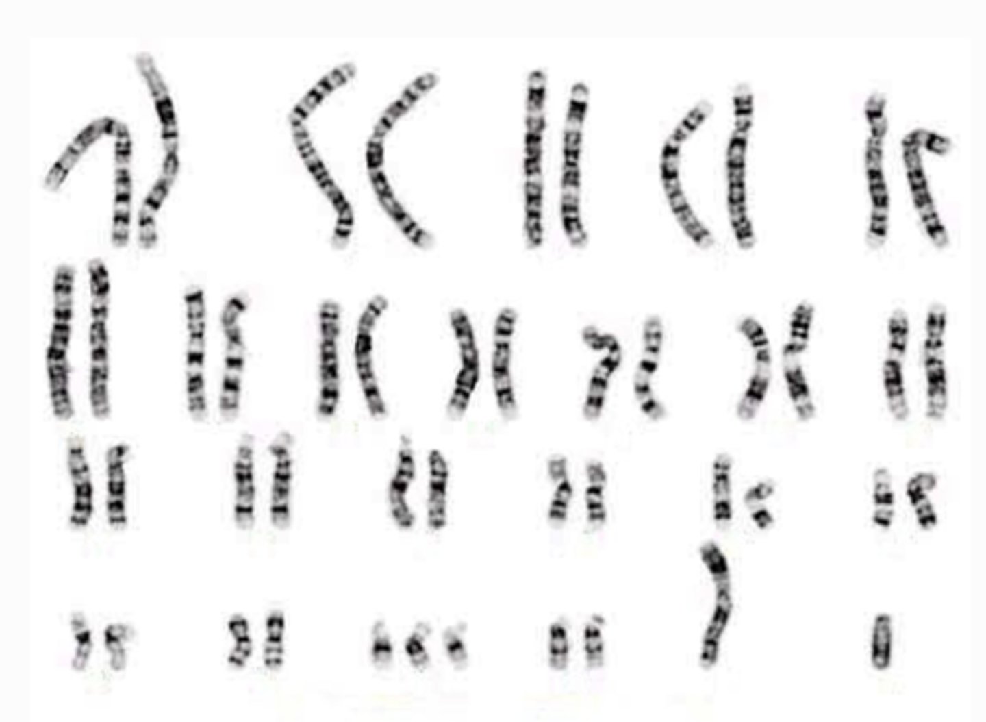 <p>determines inherited traits</p>