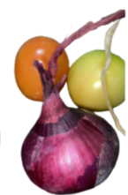 <p>What is its physiological maturity and commercial maturity?</p>