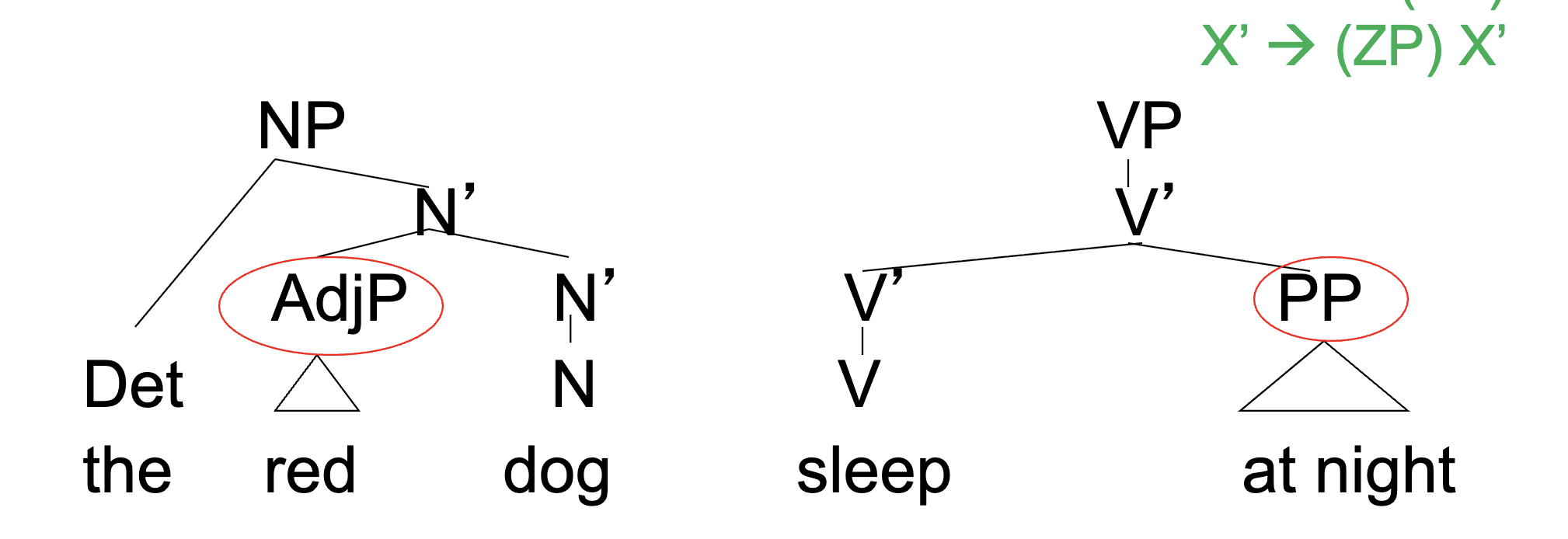 <p><span style="color: rgb(255, 255, 255);"><span>Semantically optional/optional information (not required by the head/to be there)</span></span></p><ul><li><p><span style="color: rgb(255, 255, 255);"><span>Can occur with almost any head</span></span></p><ul><li><p>ex. Adj, Adv, PP</p></li></ul></li><li><p><span style="color: rgb(255, 255, 255);"><span>Adjuncts add a layer of X’ structure</span></span></p></li><li><p><span style="color: rgb(255, 255, 255);"><span>They are sisters to X’, daughters to X</span></span></p><ul><li><p><span style="color: rgb(255, 255, 255);"><span>Adjuncts in VP often give information about location, time, or manner<br>(5) The cat slept in the kitchen/under the sofa.<br>(6) Mary ate the cake in the afternoon / yesterday/on Thursday.<br>(7) Mary eats cake quickly/often.</span></span></p></li></ul></li></ul><p></p>