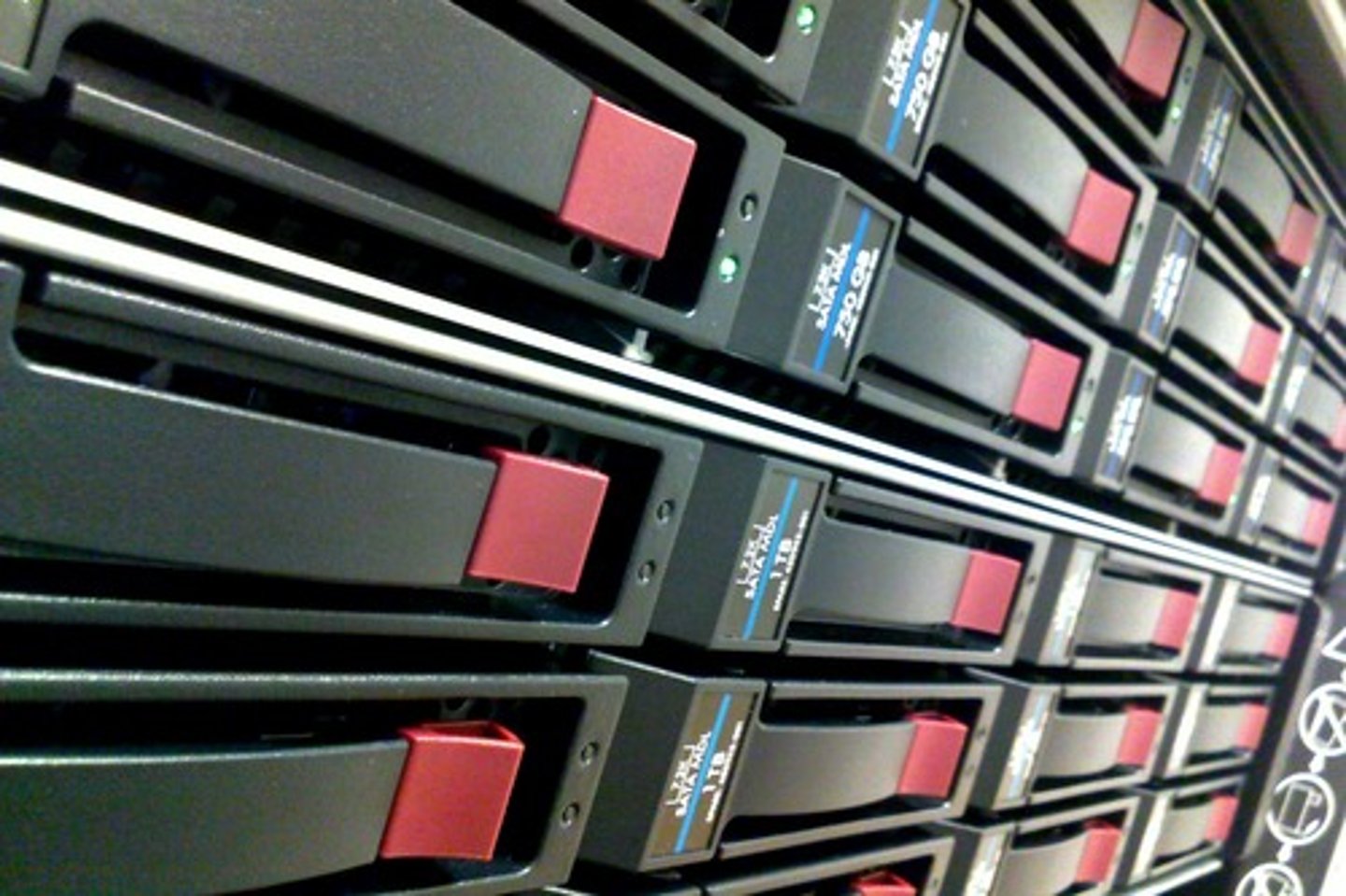 <p>the process of retaining encoded information over time</p>
