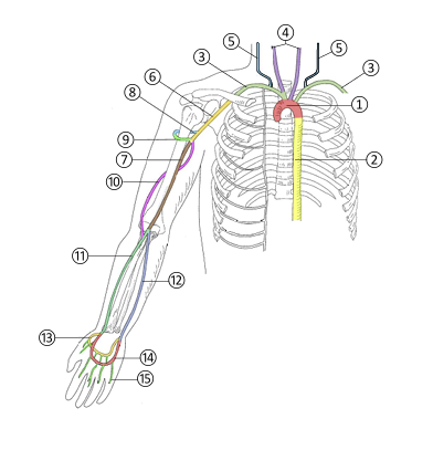 <p>6</p>