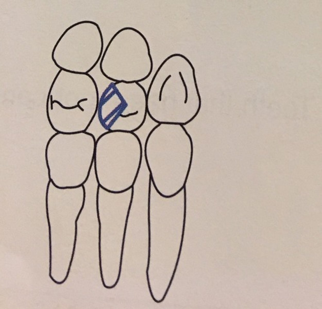 knowt flashcard image