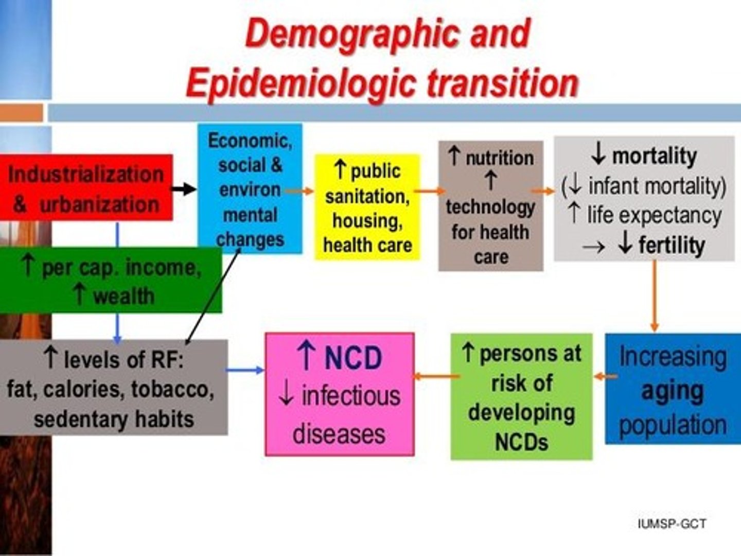 <p>Describes changing patterns in population age distribution, mortality, fertility, life expectancy, and causes of death.</p>