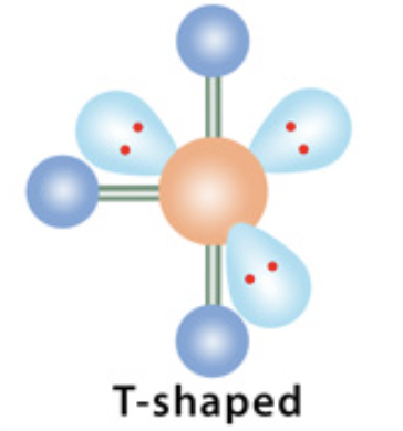 <p><span>electron domain: octahedral</span></p>