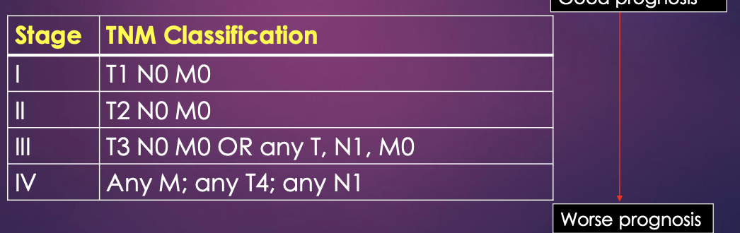 <p>What does TNM staging indicate?</p>