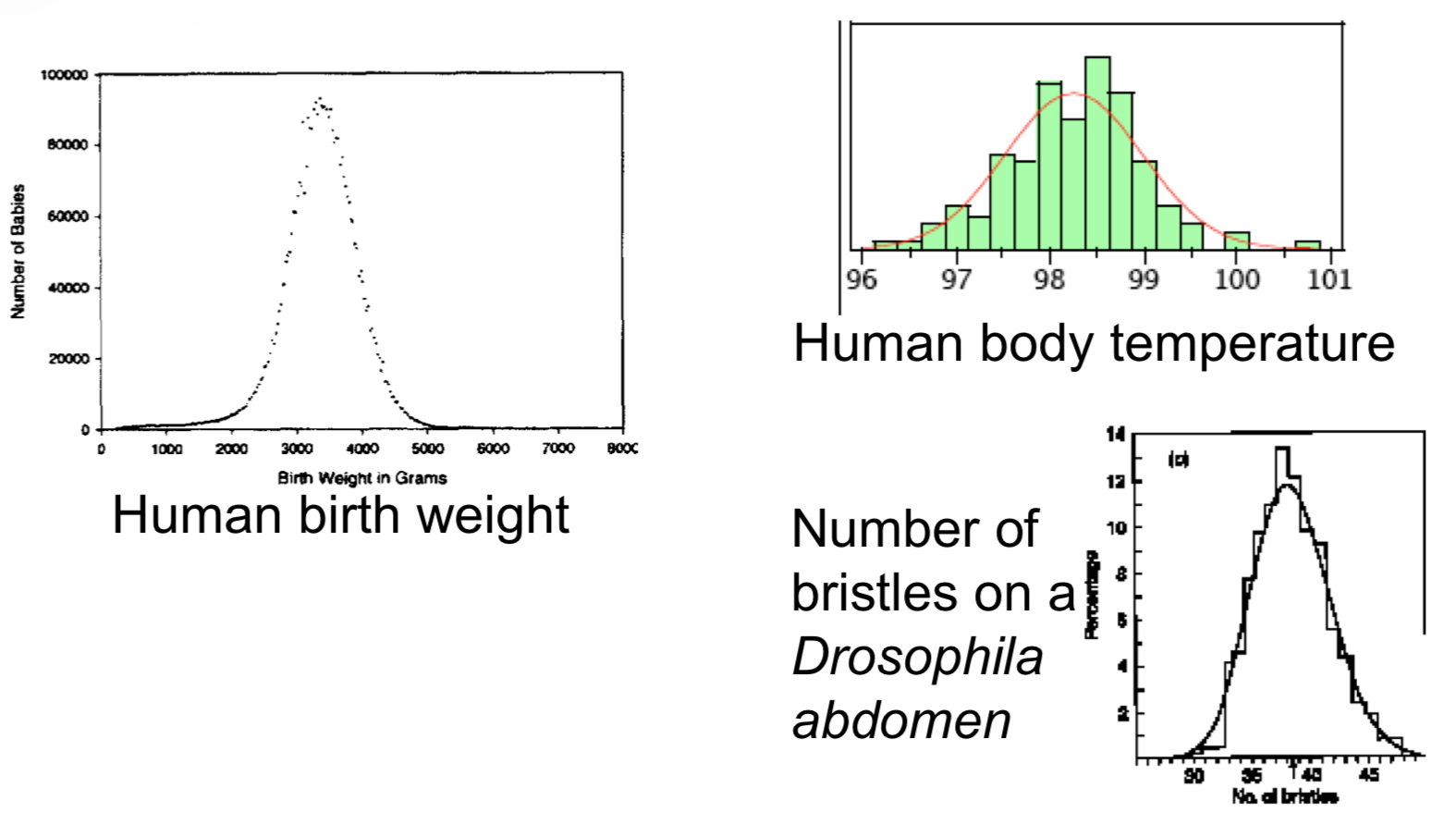 <p>- A continuous probability distribution describing a bell-shaped curve<br>- It is a good approximation to the frequency distributions of many biological variables</p>