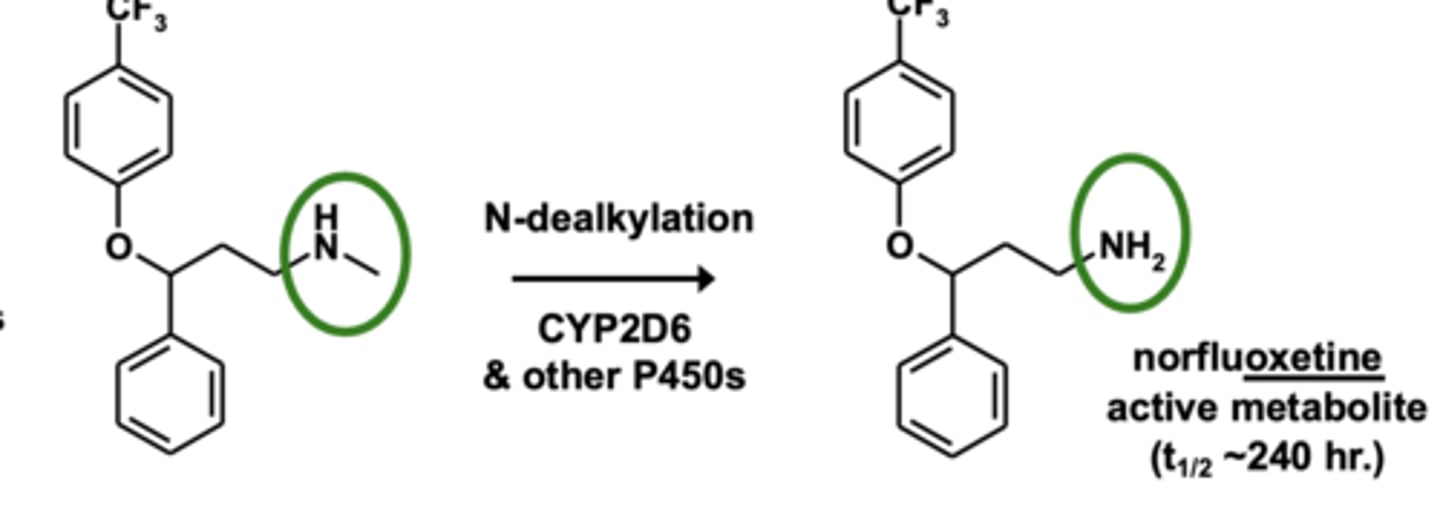 <p>3° -> 2° -> 1° amines (the removal of alkyl group)</p>