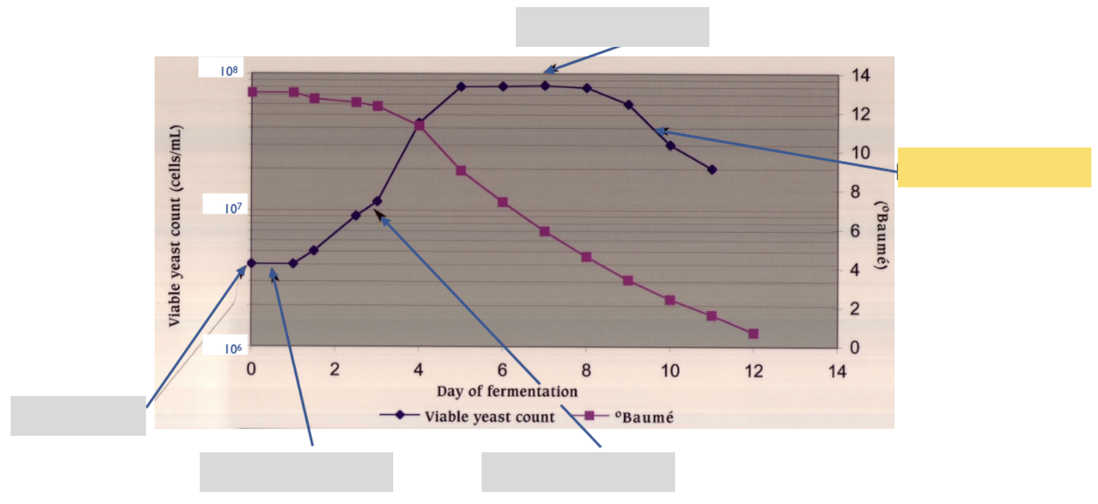 <p>What is the highlighted phase called?</p>