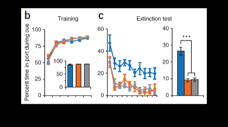 <p>3 groups of rats go through training phase to associate cue with ducrose reward, during extinction phase (withoold reward) paired group gets stimualted after reward woud have been delivered, continued stimulation sustains learned behaivor compared to controls, indicating the burse capacity to substitues for the omitted reward signal.&nbsp;</p>