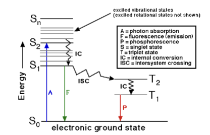 <p>explains absorption and emission spectra of fluorescent materials.</p><p>Electrons at high energy orbital states fall down in small jumps, and then the emission is a large jump which is the fluorescence you see</p>