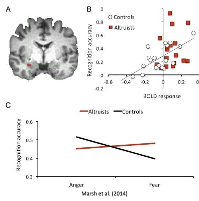 <p>Altruistic kidney donors showed greater activity in the right amygdala in response to fearful faces - gives precedence to the idea that altruism is elicited due to the need to defend oneself</p>