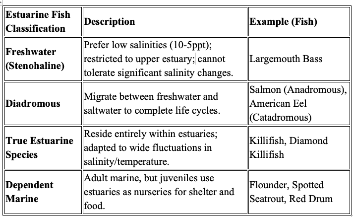 <ol><li><p>freshwater fish species</p><p class="p1"><span>• stenohaline freshwater</span></p><p class="p1"></p></li><li><p>diadromous (migrating through estuaries)</p><p class="p1">• euryhaline<br></p></li><li><p><span>&nbsp;</span>True estuarine species (also known as <span>estuary-resident species)</span></p><ul><li><p><span>entire life cycle in estuary</span></p></li><li><p><span>euryhaline</span><br></p></li></ul></li><li><p>Dependent marine fish species (meaning</p><p class="p1"><span>estuary-dependent marine fish species)</span></p><p class="p1"><span>• at least one stage of life cycle in estuary</span></p><p class="p1">• euryhaline<br></p></li><li><p class="p1">Nondependent marine species</p><p class="p1"><span>• no part of life cycle needed to be in estuary</span></p><p class="p1">• stenohaline marine</p></li></ol><p></p>