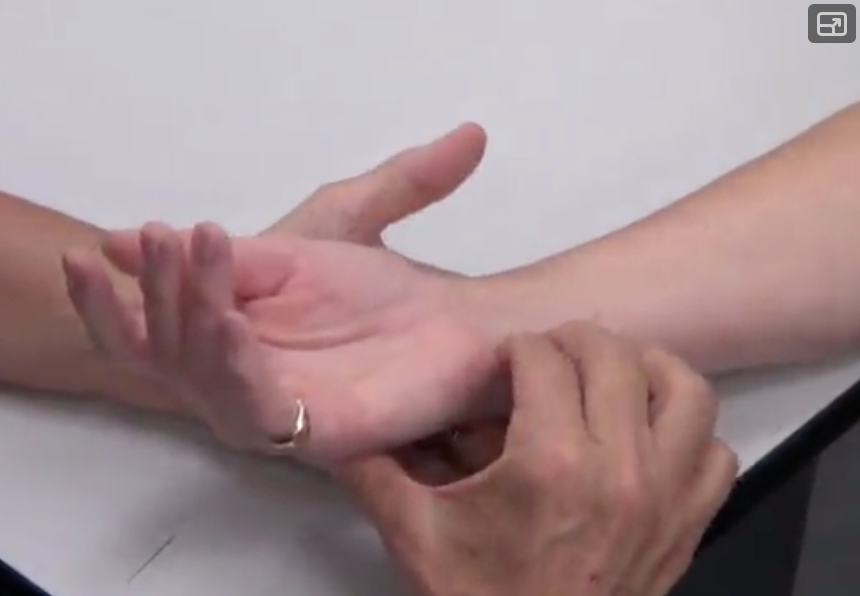 Tendons for flexor carpi ularis is directly under the heel of your hand medially

*Follow the tendons proximally to find muscle bellies 