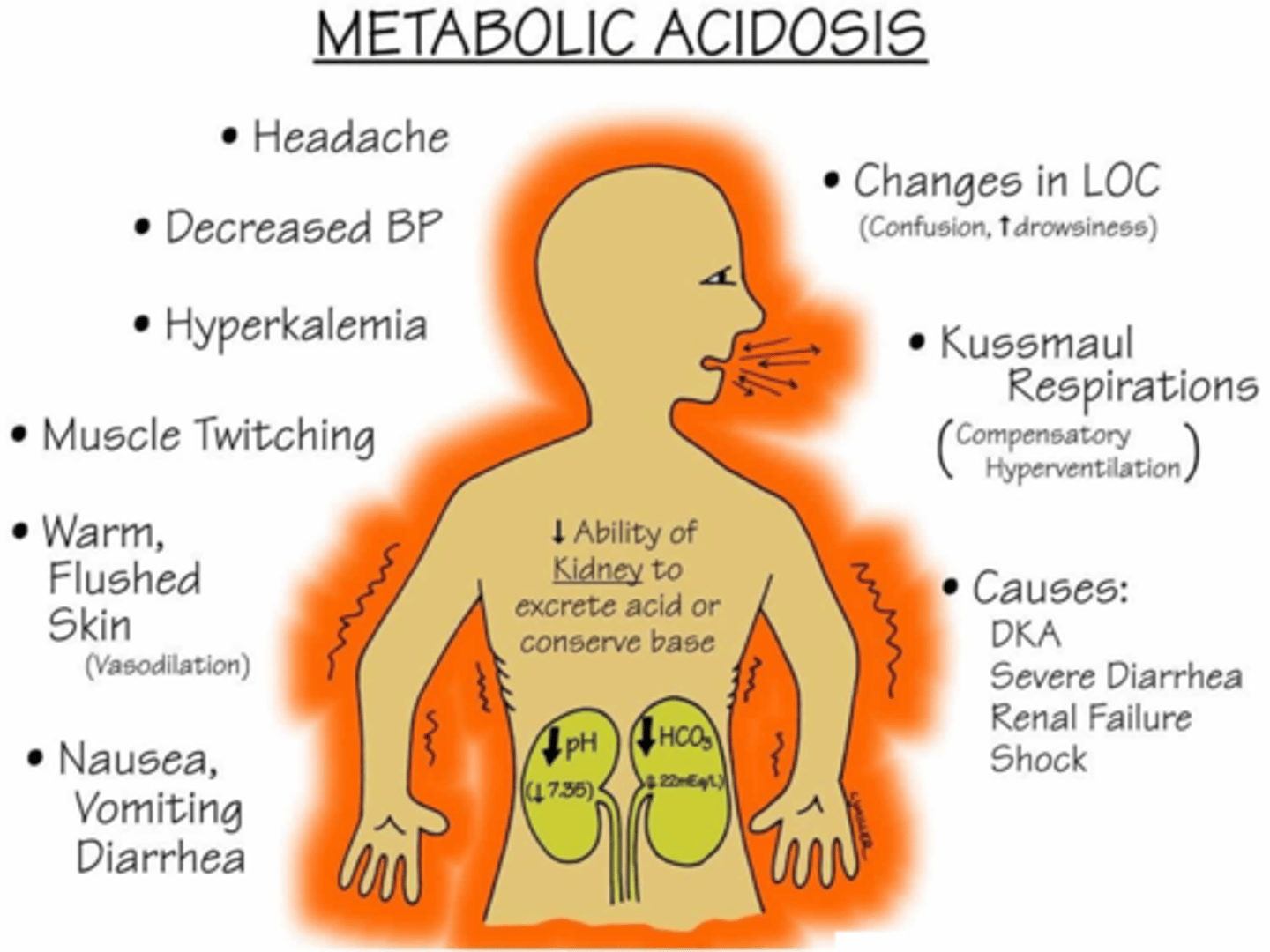 <p>- A: Aspirin toxicity</p><p>- C: Carbs not metabolized (increased production of ketoacids)</p><p>- I: Insufficient kidney function</p><p>- D: Diarrhea</p><p>- Starvation, diarrhea, alcoholic ketoacidosis</p>