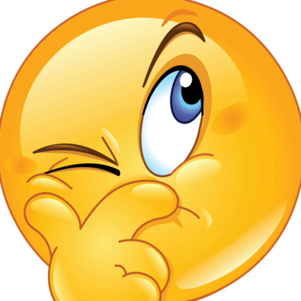 <p>n. (linh cảm)<br>Eg: I have a … that something good will happen.</p>